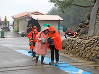 ♧광양매화,구례산수유출사..