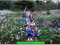 ♧파주율곡수목원,연천댑싸..