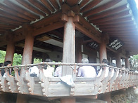 [문화광장] 두메산골에 날..