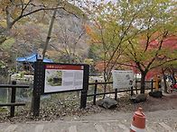 정읍 내장산 정기산행 (4..