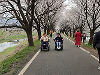 보고 듣고 배우는 문화여행..