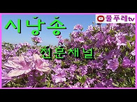 어머니의 향기 / 박목월