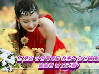 중년이라고 사랑을 모르겠..