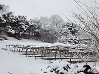 버려진 십자가의 예수