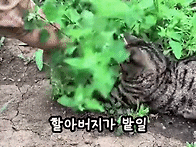 02. 집사의 일을 ..