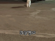 07. 간택을 원하는..