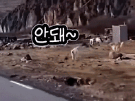 08. 이사 가는 강..