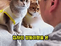 07. 쌍둥이 집사 ..
