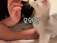 17. 식탐이 왕성한..