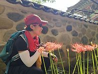 밀양 재약산 돈릿지 (20..