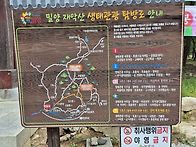 밀양 재약산 돈릿지 (20..