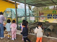 용봉산 승마체험