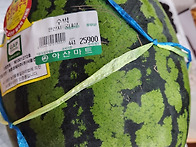 26년 6월 월례회 & 자체대..