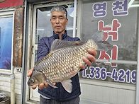 4월20일 조황입니다.