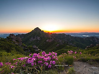 새벽에 산정(山頂)을 오른..