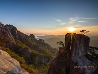 대둔산 아침빛, 2025,1..