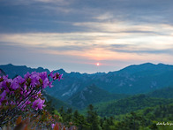 설악산의 서북능선 (202..