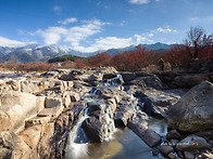 산수유와 만복대 설경 20..