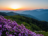지리산 고리봉 2026.05..