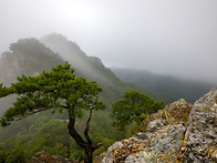 경북 영덕 팔각산(八角山,..