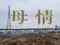 母 情