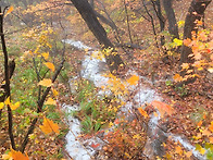 241019-설악 정기산행