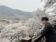 쌍계사 꽃구경