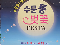 04 11 인천동구 수문통 벚..