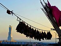 홍성 죽도 나들이