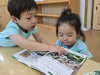 체육활동 및 일상