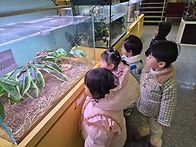 곤충박물관을 다녀왔어요&..