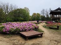 4월27일 청량산/..