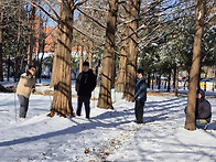 정서지원(눈놀이)