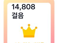 조수아 시인 상위 2% 회복..