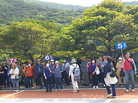 59주년 본당의 날 행사