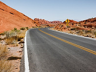 신인감독 김연경 OTT 다시..