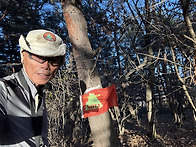 충북 단양군(E20) HL/C..