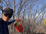 강원 정선군 (D16) HL/..