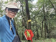 충북 영동군(E14) HL/C..