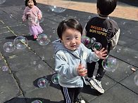 봄꽃을 찾아요 ~^^