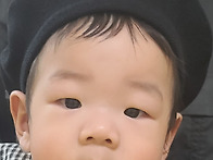 새로운 친구 천도..