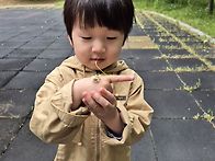 꽃반지, 꽃팔찌 만들었어요..