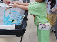 마트체험