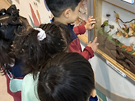 🌳유아교육진흥