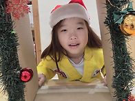 &#128444;거제드림 트리&#127794;