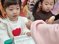 &#129655;씨앗- 알록