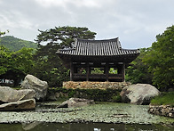 완도(보길도+청산도). 강..