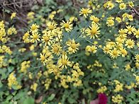 &#127810;제188회둘레