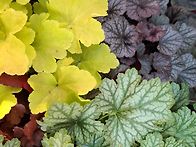 &#127810;제189회둘레..