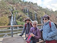 &#127810;제190회둘레